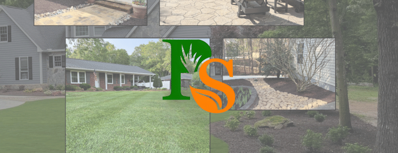 Business Banner